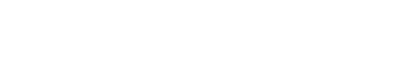 NANOVION ナノヴィオン